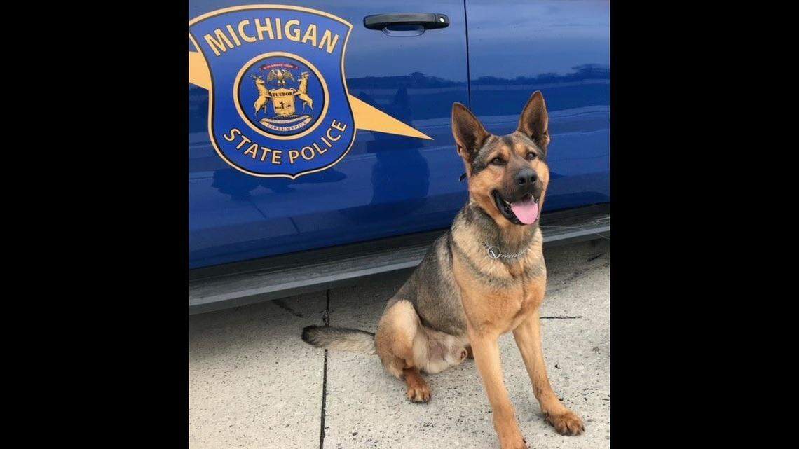 A Michigan State Police K-9, named Rex, died after a suspected drunk driver crashed into his handler’s vehicle.
