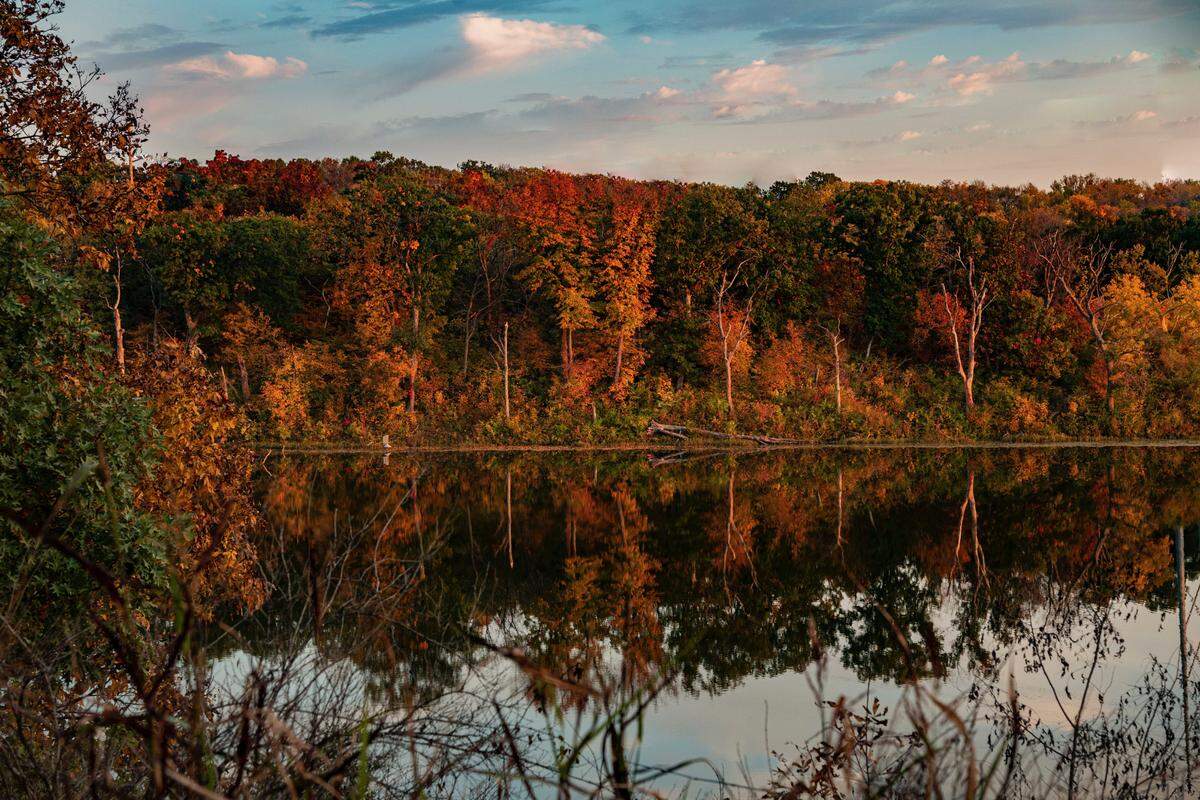 Black Hoof Park in Johnson County