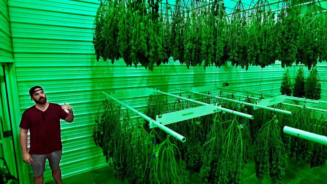 Could you pay 6% more in local marijuana tax? It’s unclear days before Missouri election