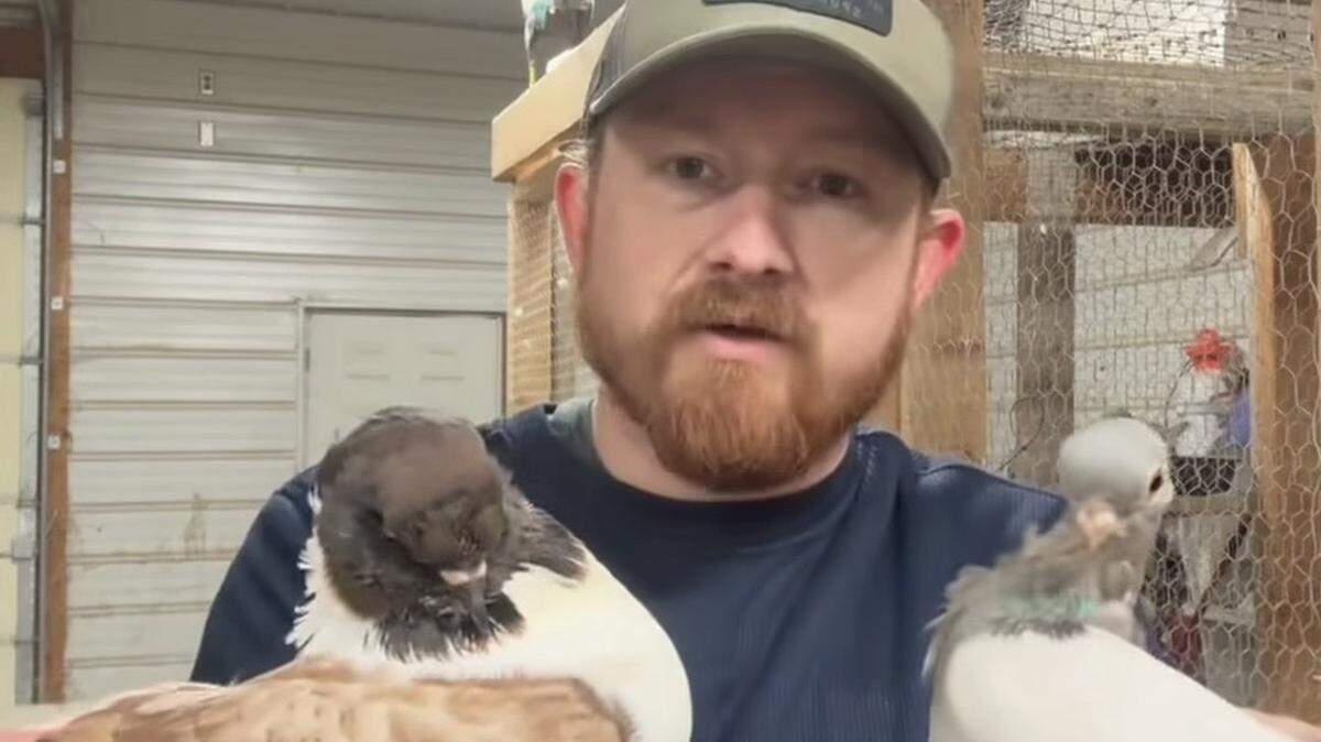 Chase Barnes, who lives with his partner on a three-acre farm in Cass County, went viral on social media when he began introducing followers to gay pigeons on the farm.