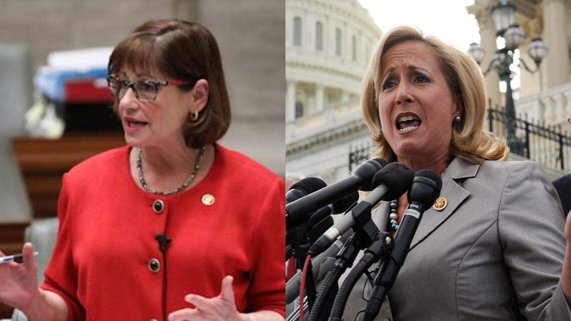 Democratic state Sen. Jill Schupp and Republican Rep. Ann Wagner.