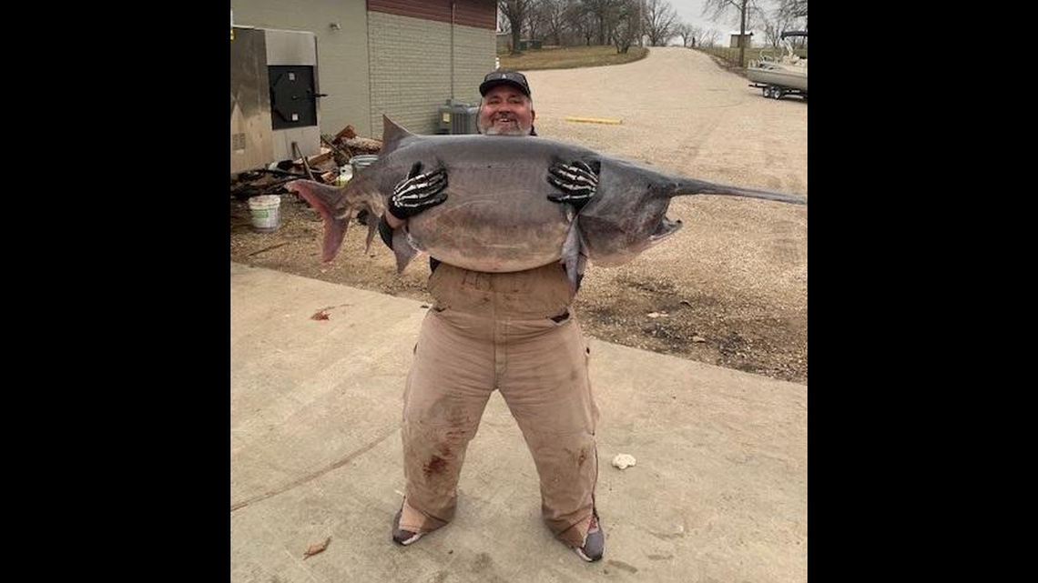 Jim Daun, of Pittsfield, Illinois, caught a Missouri state-record 140-pound paddlefish at the Lake of the Ozarks on March 18.