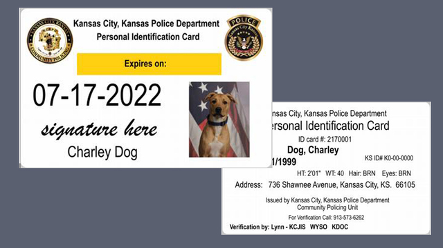 Kcl Photo Id Example Kansas City KS police photo identification cards are no fix | Kansas ...