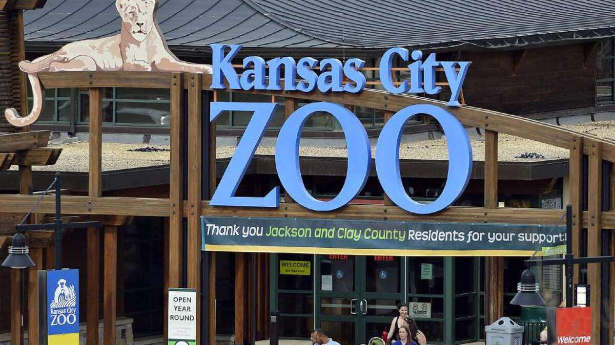 The Kansas City Zoo is offering Black Friday deals.