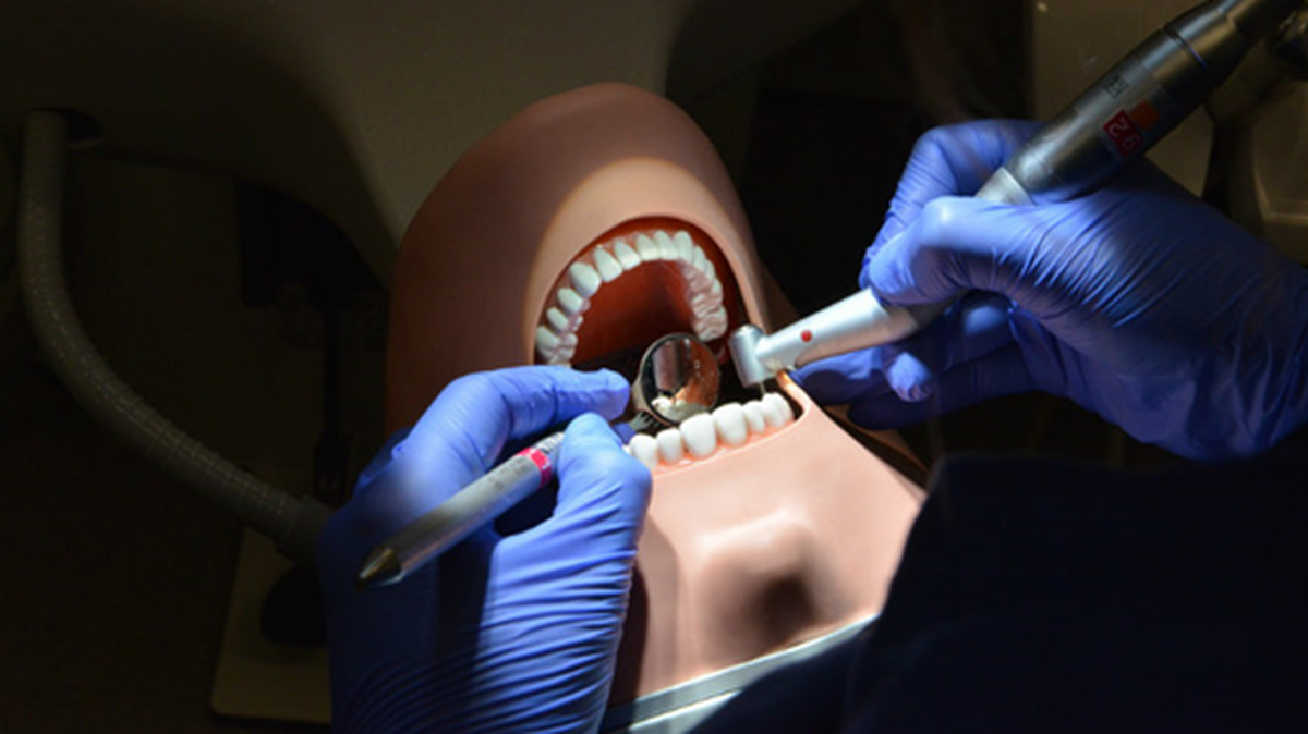 Before working on human patients, students at the UMKC School of Dentistry practice on mannequins like this one.
