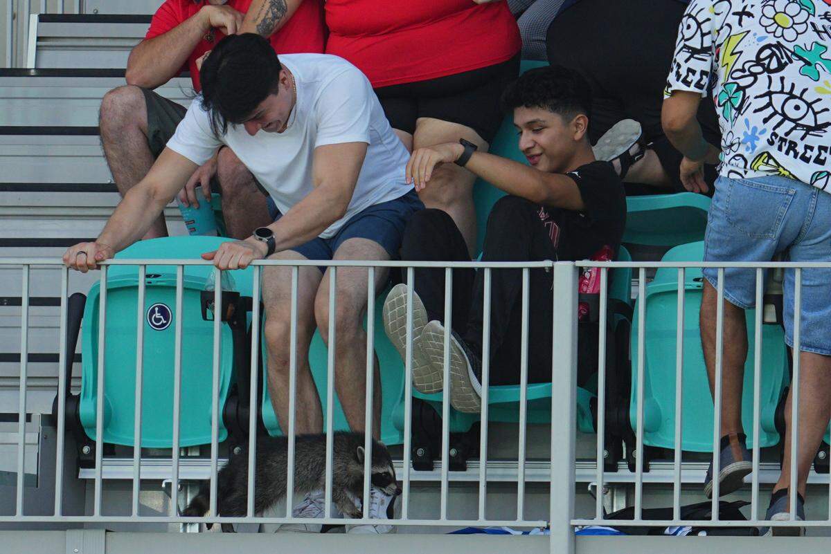 Aug 6, 2024; Kansas City, MO, USA; A fan reacts to a raccoon in the second half between Angel City FC and NJ/NY Gotham FC at CPKC Stadium. Mandatory Credit: Jay Biggerstaff-USA TODAY Sports