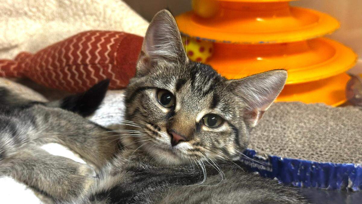 Missy