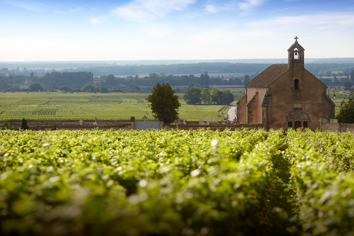 Mark O’Connell’s Clos de la Chapelle in Burgundy.