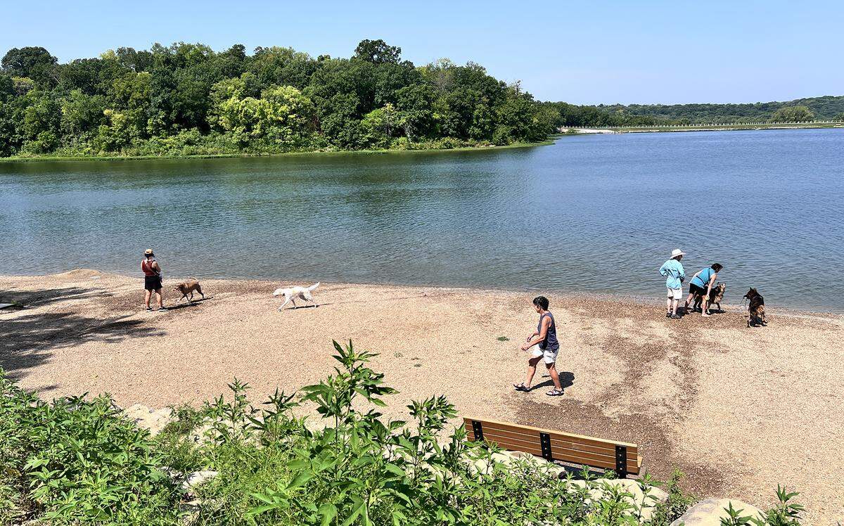 The Shawnee Mission Dog Park is a 44-acre off-leash adventure zone, with paved and natural trails topped off by a huge swimming beach.