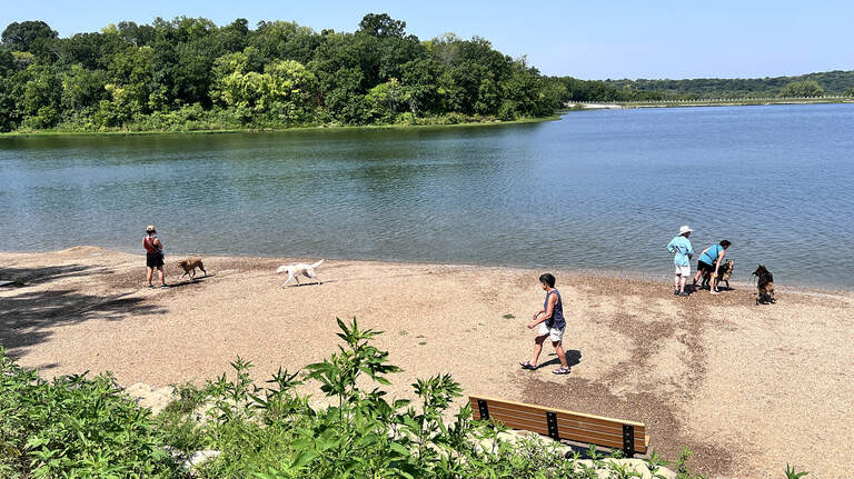 This Johnson County dog park tops off its trails with a great place to swim