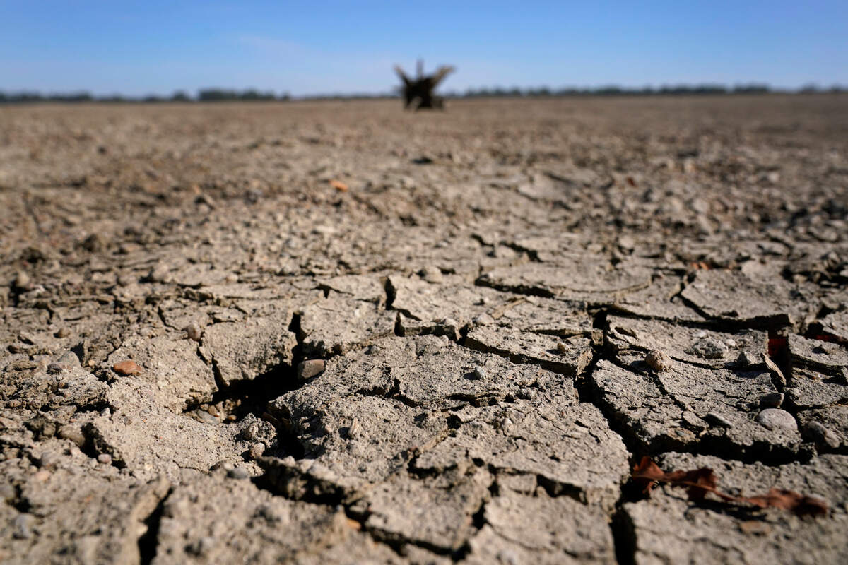 Exposed ground is seen in a dried up river bed where the normally wide Mississippi River would flow Thursday, Oct. 20, 2022, near Portageville, Mo. The lack of rainfall in recent weeks has left the river approaching record low levels in areas from Missouri south through Louisiana, making barge and other navigation along the river more difficult.