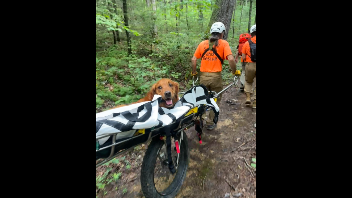 Rescue crews saved a dog after it was bitten several times by a copperhead snake along a hiking trail in Kentucky.
