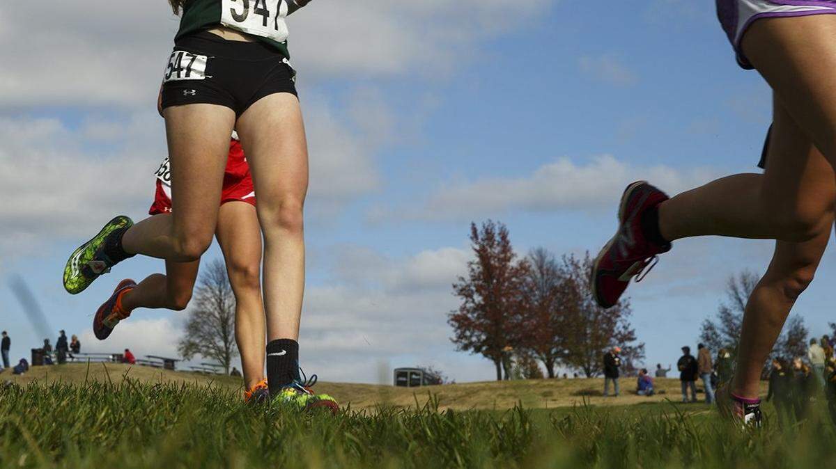 High school runners navigate the Gans Creek course at the state meet in Columbia.