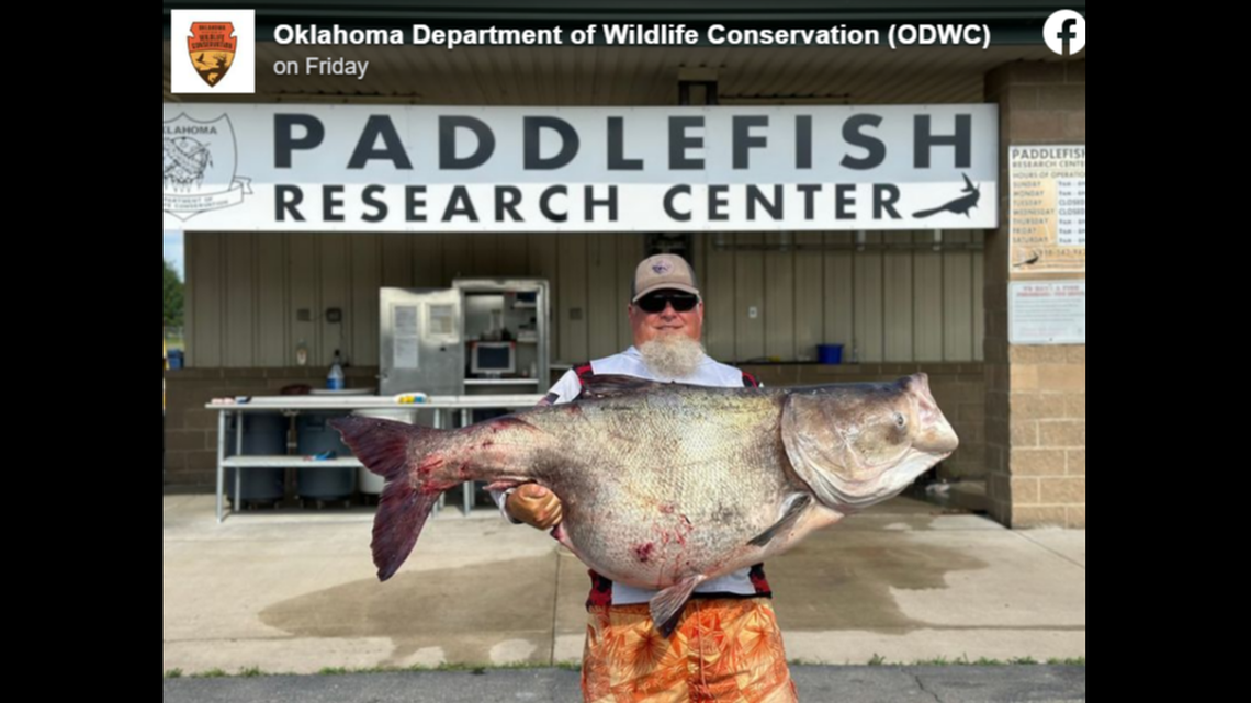 An Oklahoma fisherman reeled in a record-setting bighead carp from Grand Lake O’ the Cherokees, wildlife officials said.