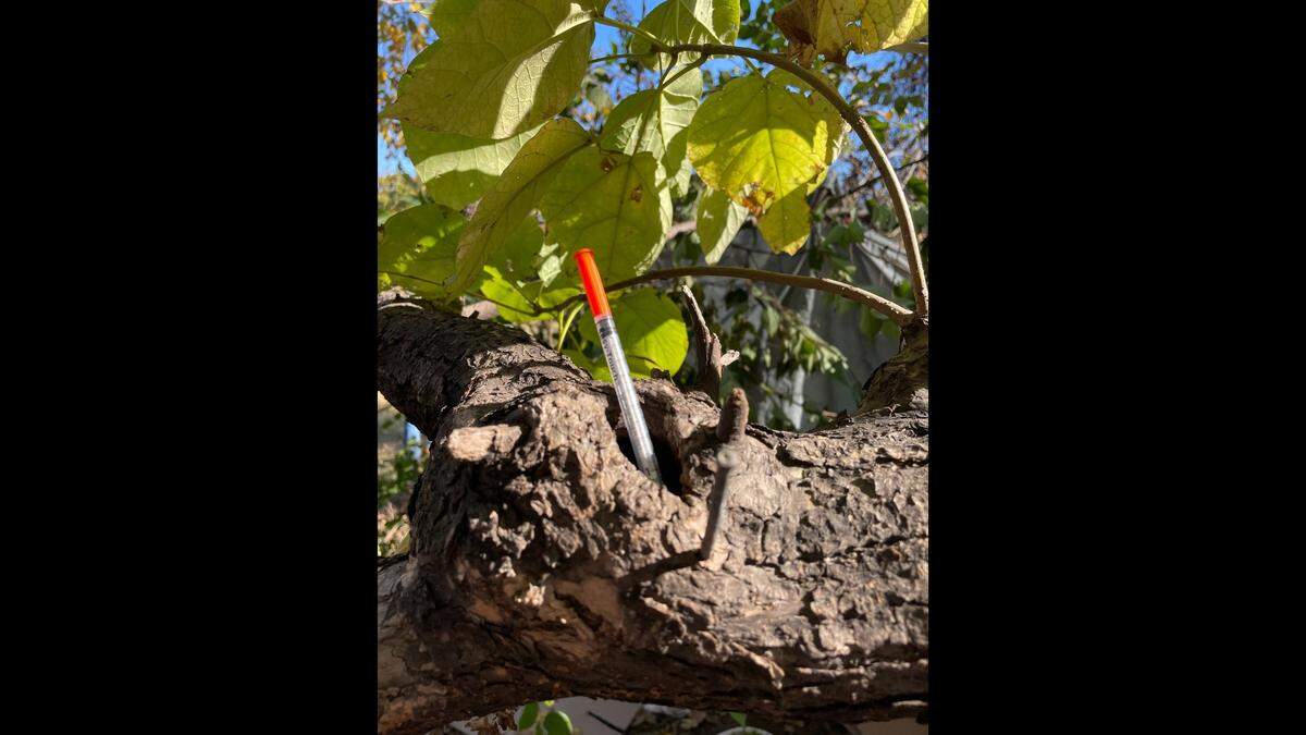 A needle was placed in a tree branch near a homeless encampment in the Lykins neighborhood in Kansas City.