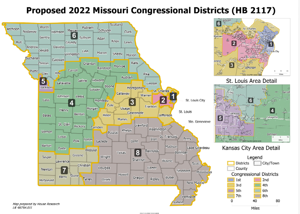 A congressional map proposed by Rep. Dan Shaul.