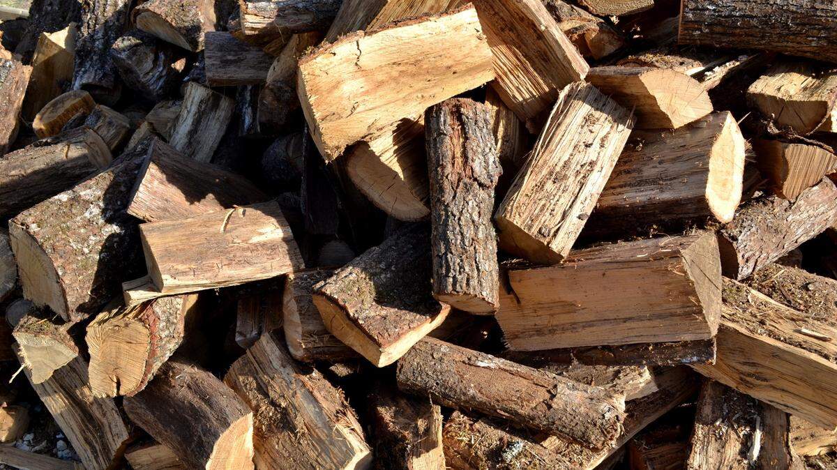 Understanding the properties of the tree you’re hoping to use for firewood will help you make informed decisions.