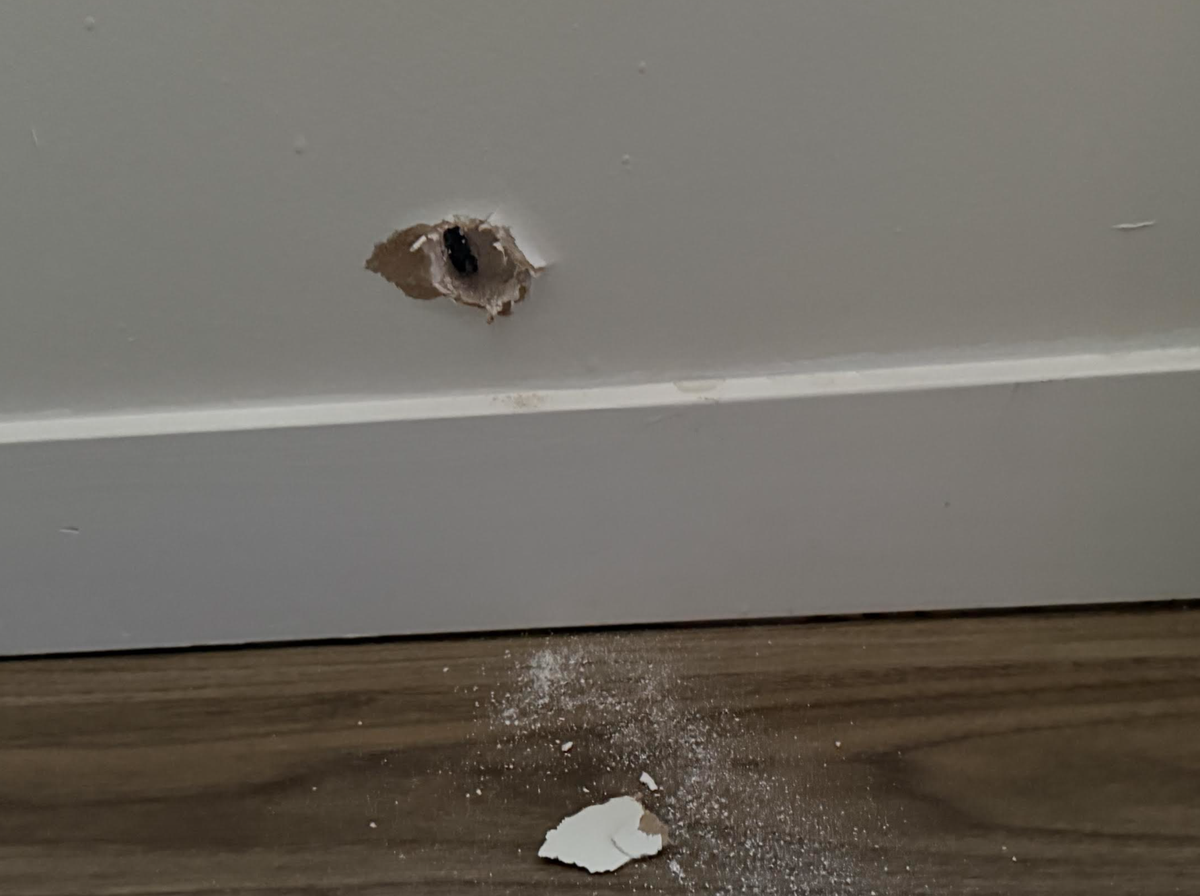 A bullet entered the living room of Cassandra Chavez’s Kansas City apartment located off East 87th Street and Drury Avenue.