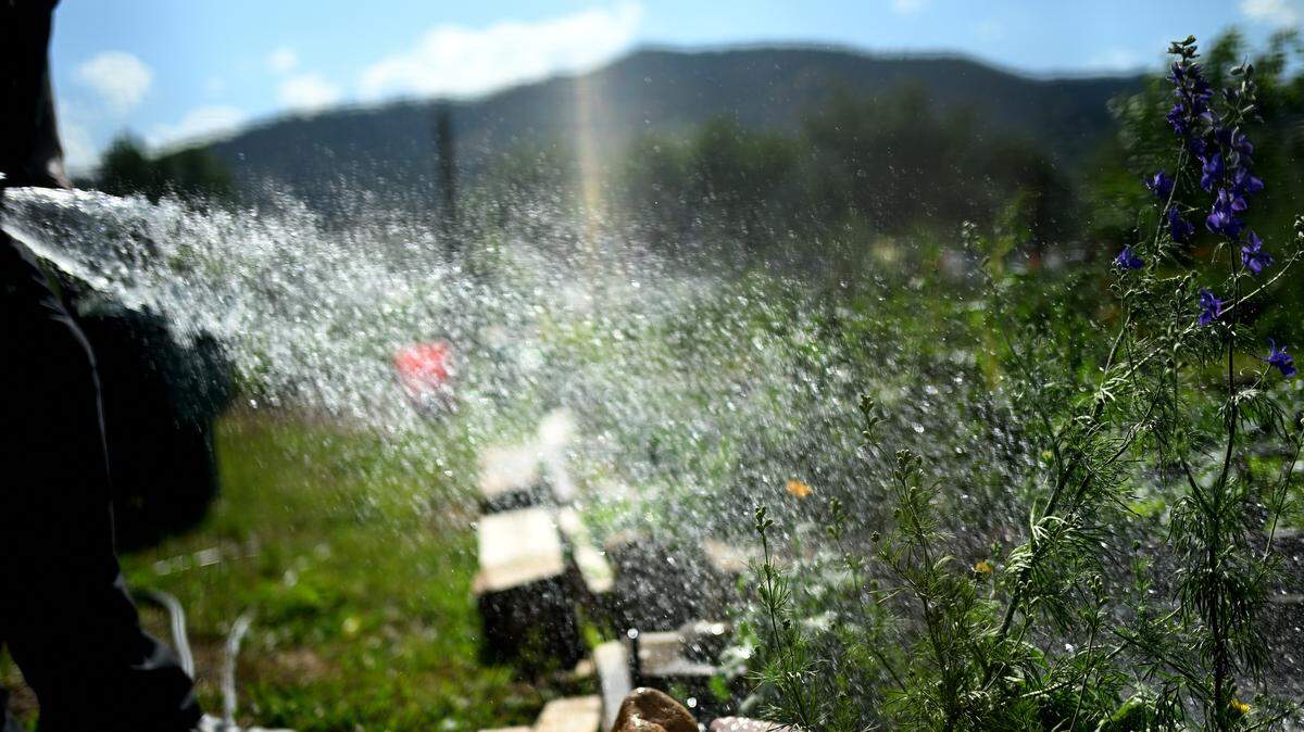 watering garden.