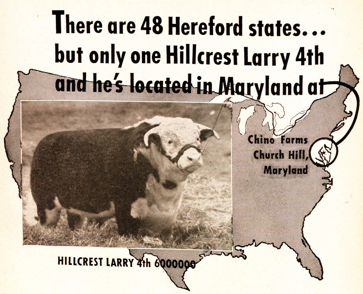 The Hereford Bull statue in Kansas City was modeled after a 1,900-pound bull named Hillcrest Larry IV, who had just sold for more than $70,000.