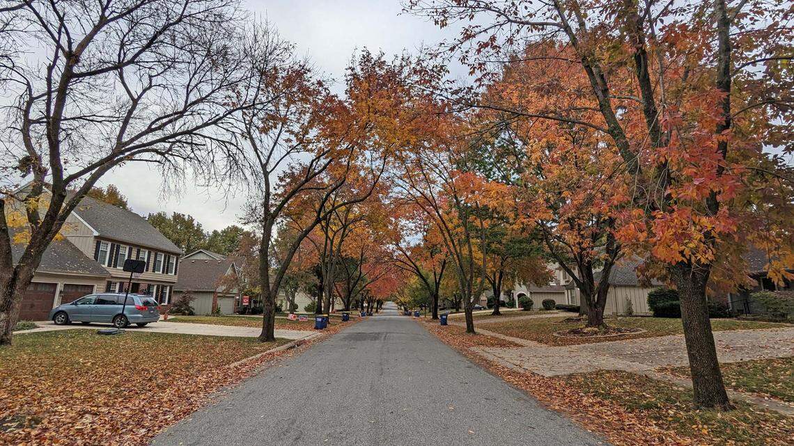 Many neighborhoods in Overland Park, like this one near 103rd Street and Bond Street, have ash street trees.
