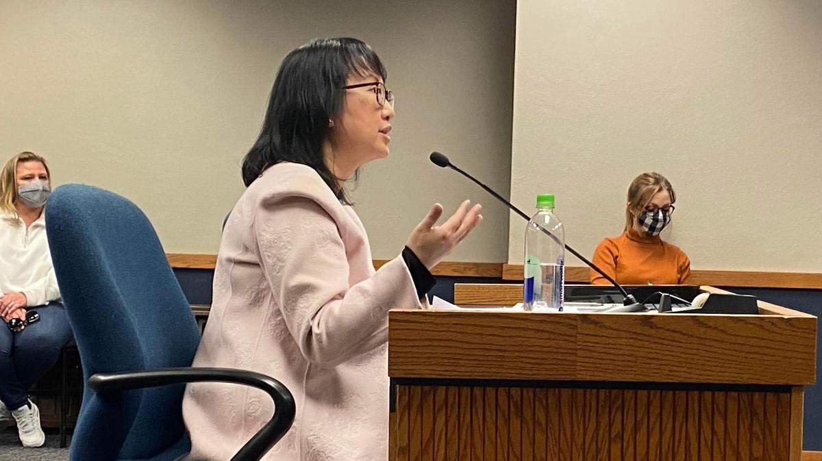 Anna Hui, director of the Missouri Department of Labor and Industrial Relations, testifies before Missouri lawmakers in February about unemployment overpayments.