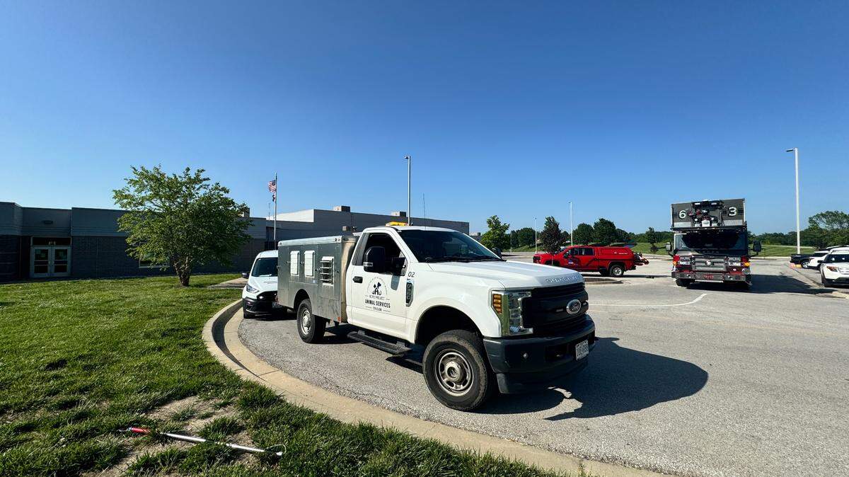 The Animal Services Division of KC Pet Project, along with the Kansas City Fire Department, searched the area around Lakeview Middle School for an alligator that escaped from the school Thursday. KC Pet Project will search for the missing gator again Friday.