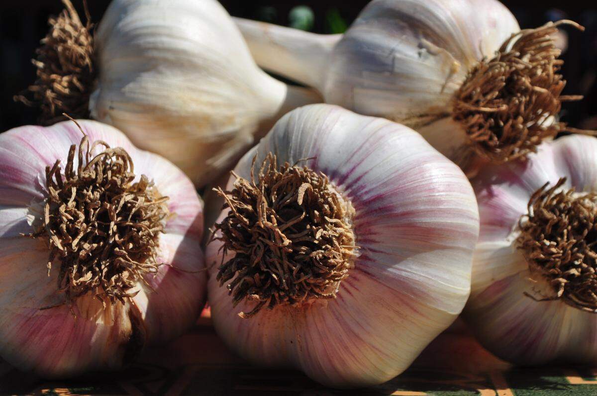 To plant garlic, simply break cloves off bulb and plant 2 inches deep, pointy end up.
