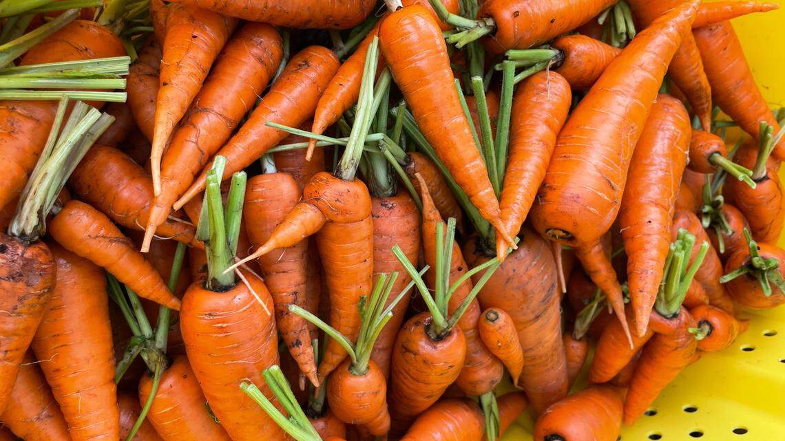 Here’s how to start your backyard vegetable garden for spring planting