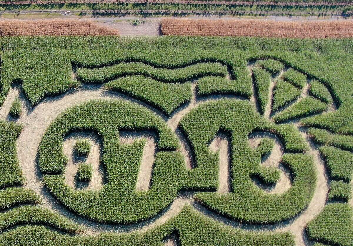 A detail of the new corn maze celebrating the love story of Chiefs tight Travis Kelce and pop superstar Taylor Swift. The maze was carved by Precision Mazes into a 9-acre cornfield at Johnson Farms Plants and Pumpkins in Belton, Missouri.