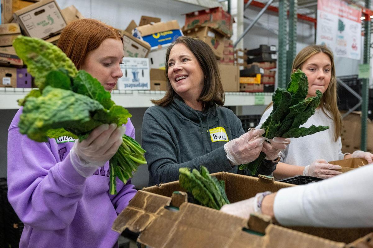 Volunteers from Church of the Resurrection including Claire Miller, 16, and her mother, Becky Miller of Overland Park, and Amelia Bridges, 18, of Overland Park, sorted bundles of kale at Knabe’s Market during a Day of Service to honor the legacy of Dr. Martin Luther King Jr., on Monday, Jan. 20, 2025, in Kansas City.