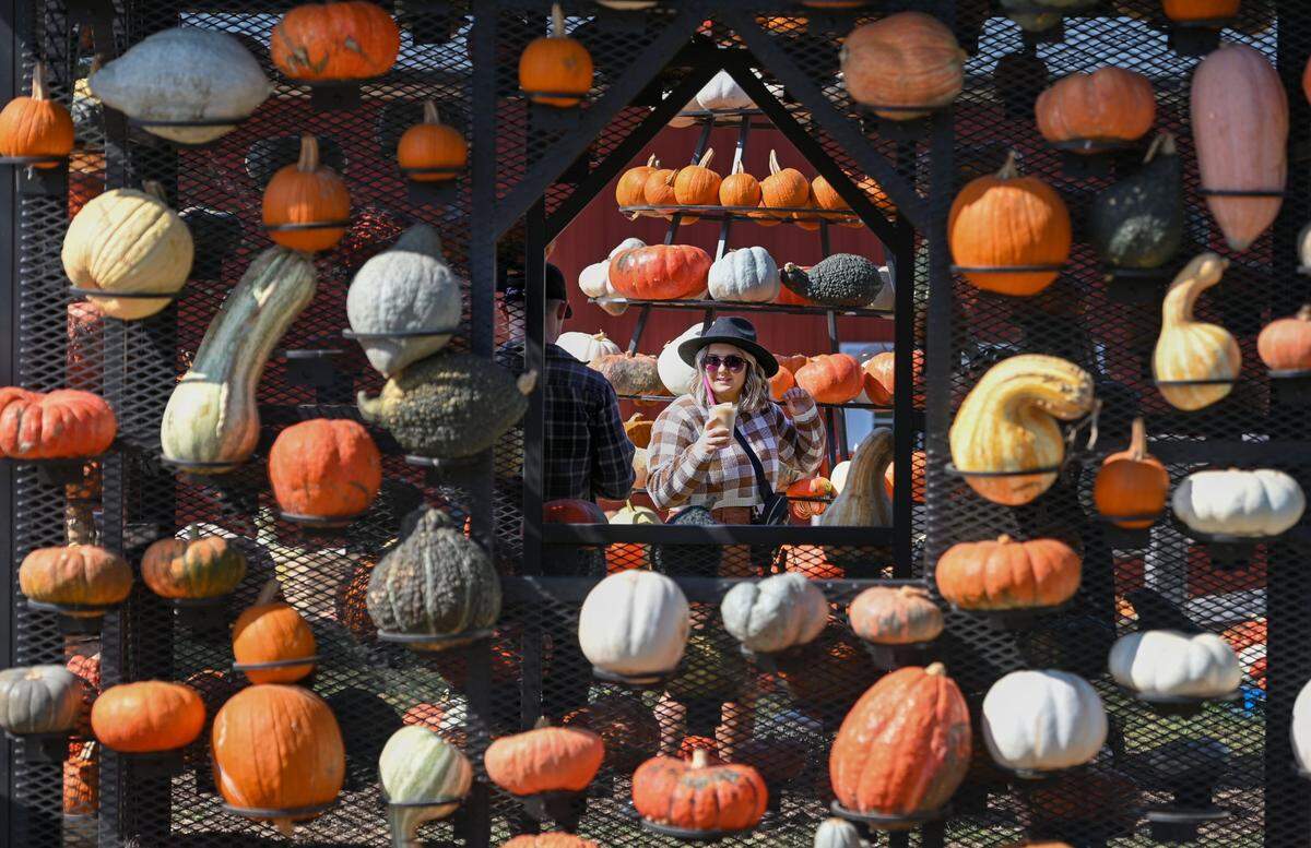 KC Pumpkin Patch and KC Wine Co. welcome thousands of visitors for fall activites every year. This year, it’s opening a Halloween-themed pop-up bar.