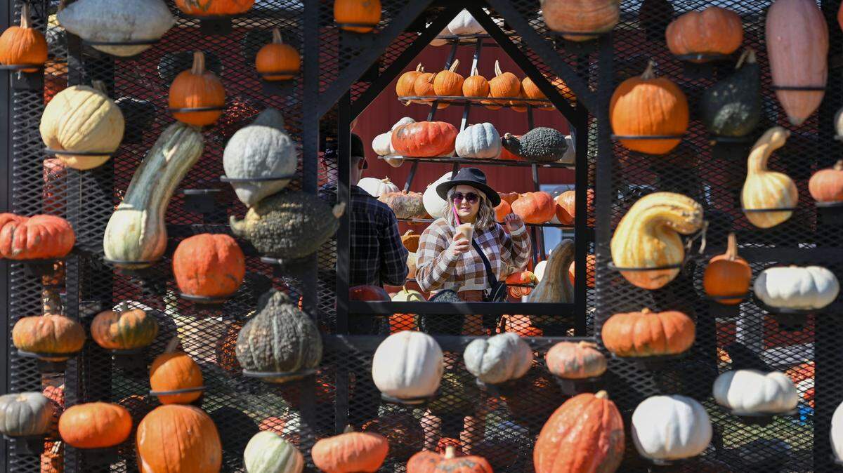 A visitor poses at KC Pumpkin Patch. The patch and its sister business, KC Wine Co., welcome thousands of visitors for fall activites every year. This year, a Halloween-themed pop-up bar is opening.