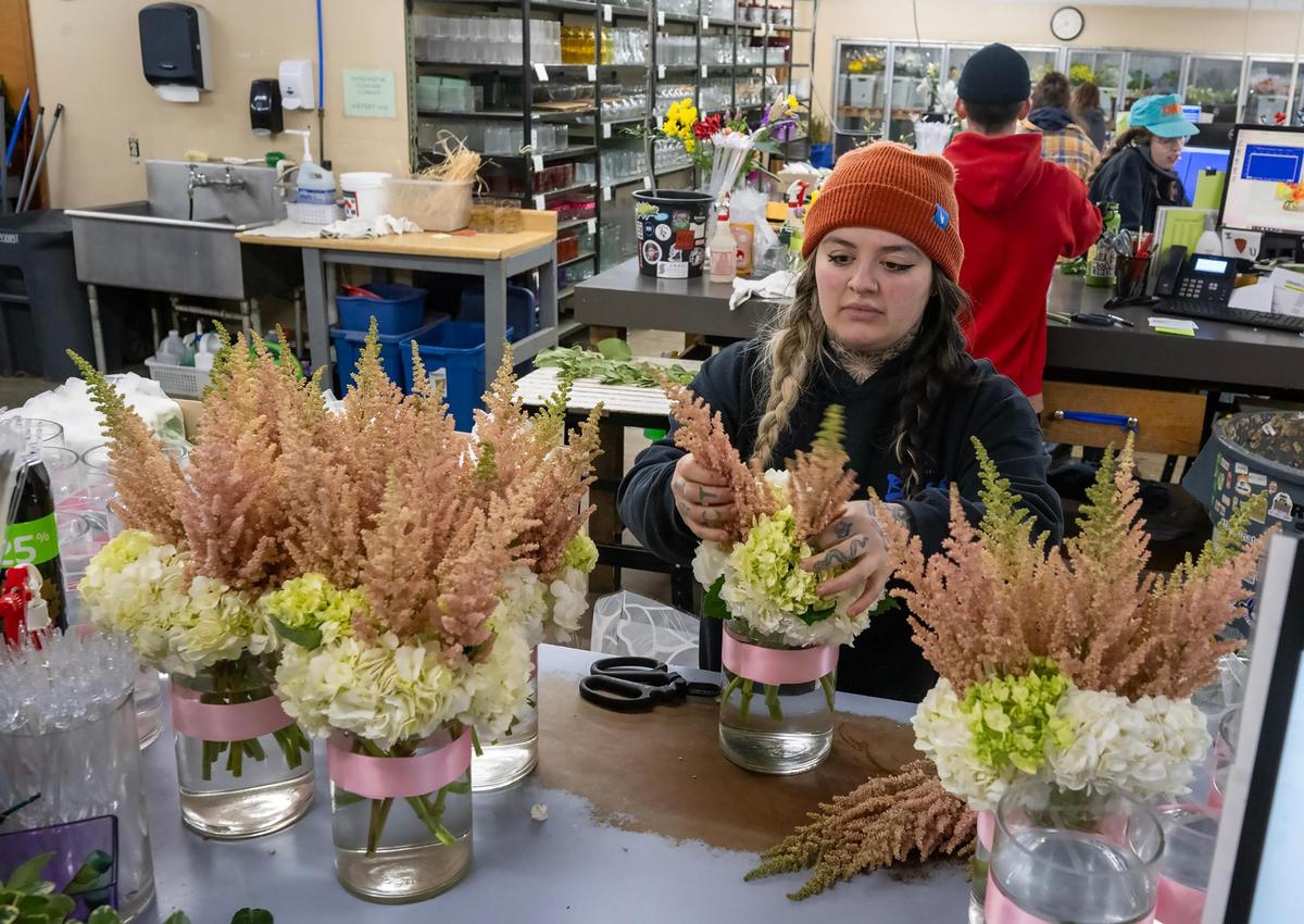 Preparing for Valentine’s Day, Alex Reyes, a floral designer at Toblers Flowers, arranges bouquets called Mère Aimante, featuring pink and ivory roses, pink astilbe, and white hydrangeas, on Thursday in Kansas City.