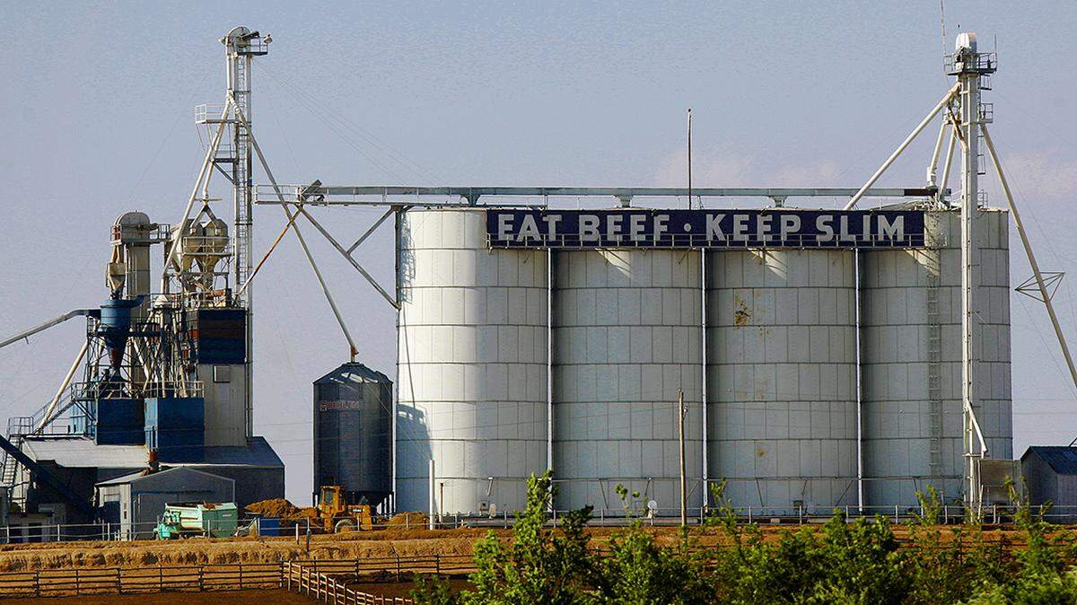 A feedlot in Garden City, Kansas is pictured, June 16, 2010. The lot like the meat-packing centers offers an attractive destination during a down economy, with plentiful jobs that require few skills and little training. (Photo by Chris Oberholtz/Kansas City Star/MCT/Sipa USA)