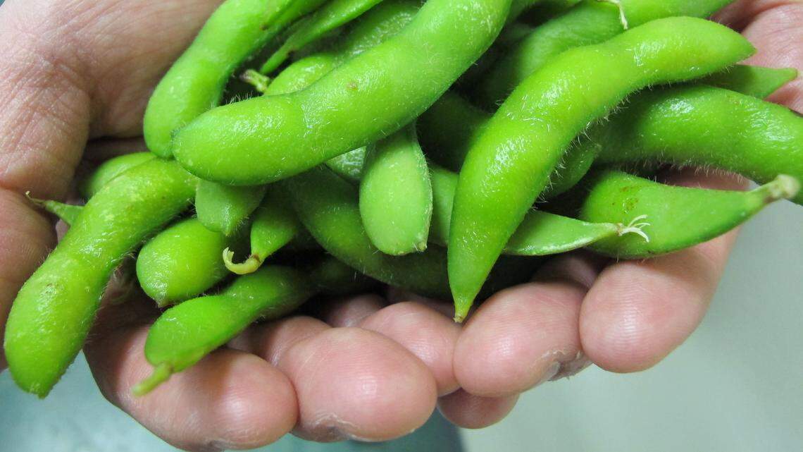 ‘In a trade war, everyone loses.’ What Trump’s tariffs mean for Missouri