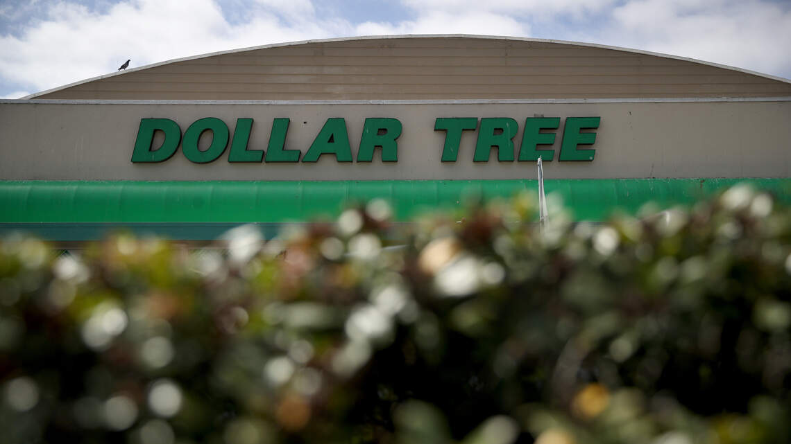 Dollar Store’s best home finds can make your space look more expensive, and shoppers are just starting to notice