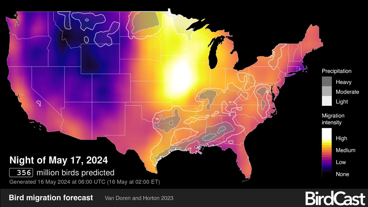 The forecast generated Thursday morning by BirdCast predicts where large flocks of migrating birds will be flying Friday night.