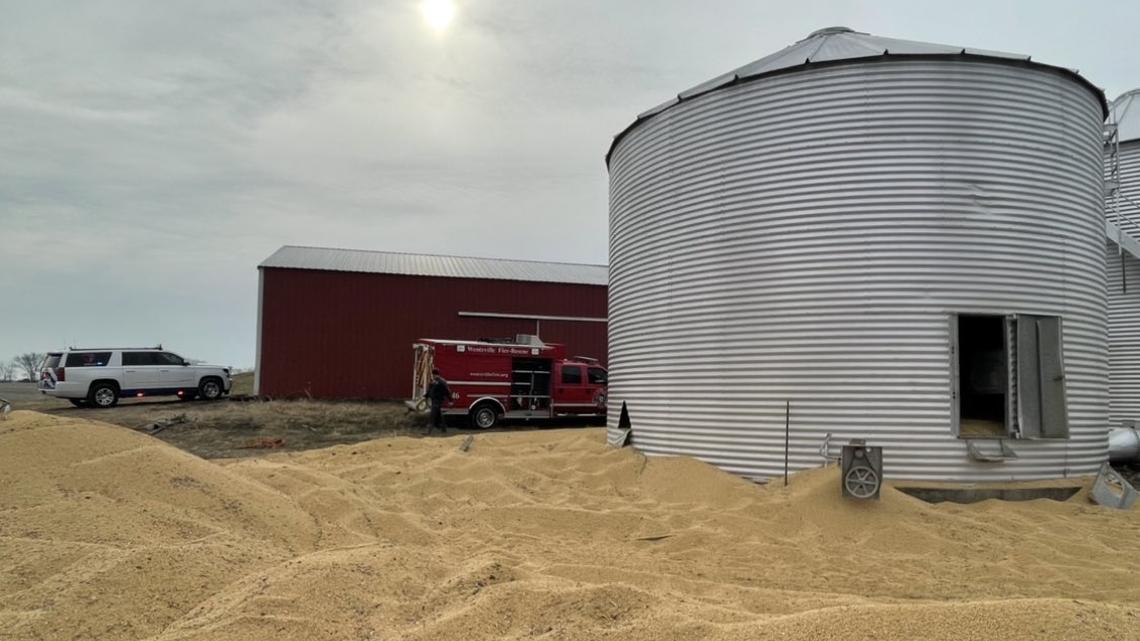 A 75-year-old farmer died after he fell and became trapped in a grain bin near Wentzville, Missouri, authorities say.