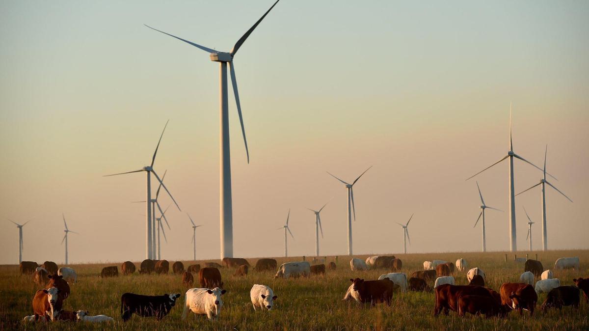 Wind farms whip up controversy as they spread across Kansas, changing the rural landscape