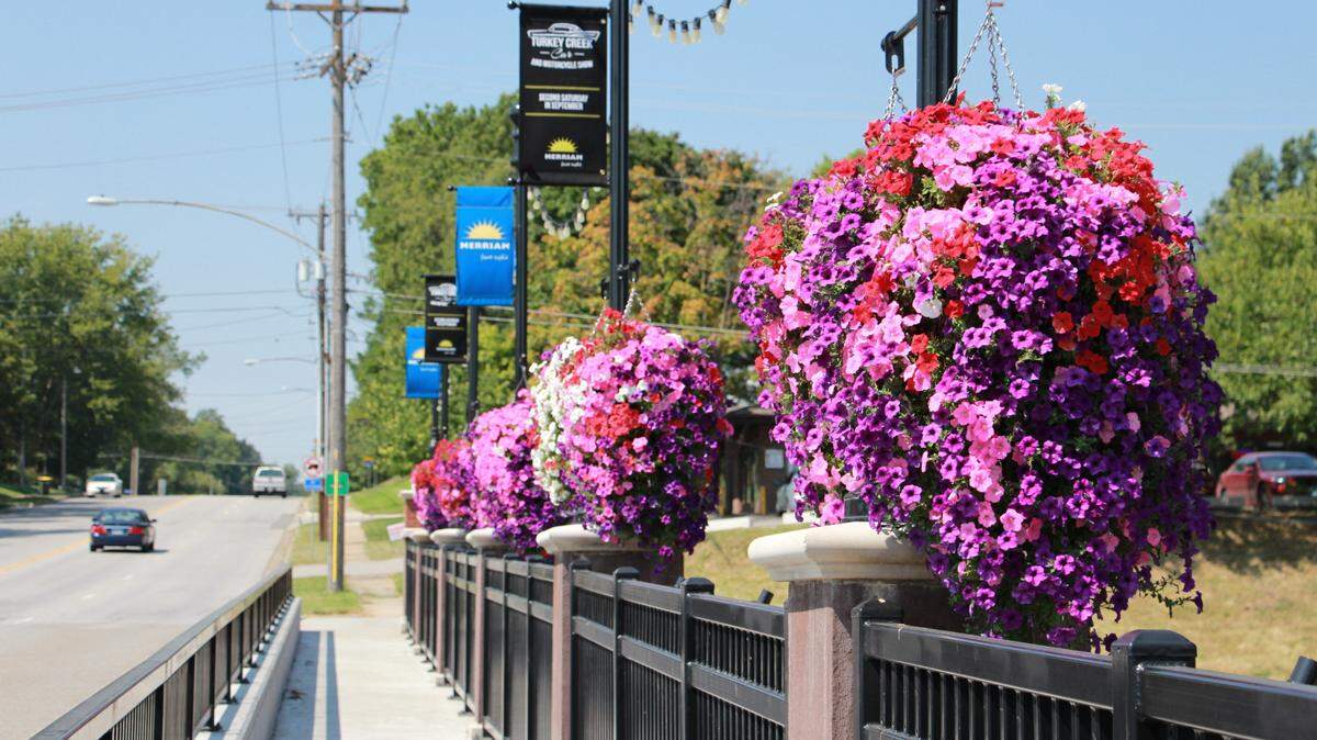 The baskets in Merriam are mostly foliage to start with, but the blooms soon proliferate.