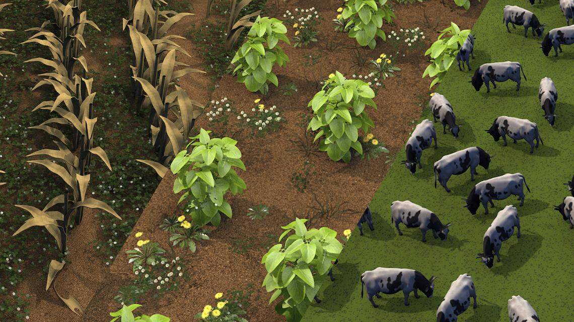 Interactive: See how regenerative agriculture works against climate change