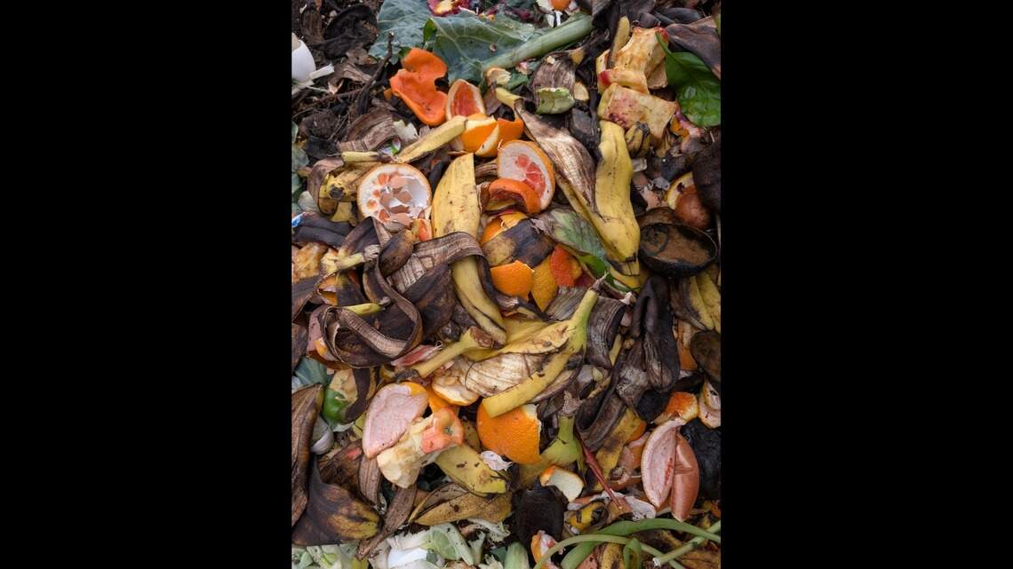 You may not enjoy compost tea, but your garden’s plants sure will
