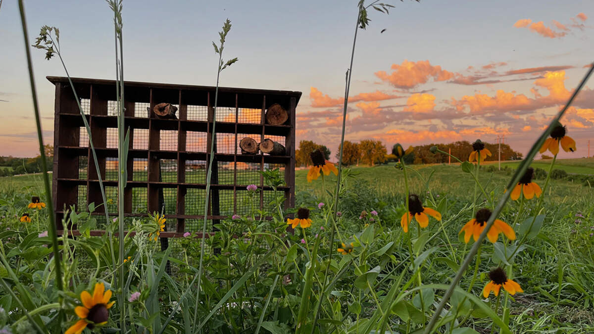 Beulah’s Butterfly Ranch in Leavenworth