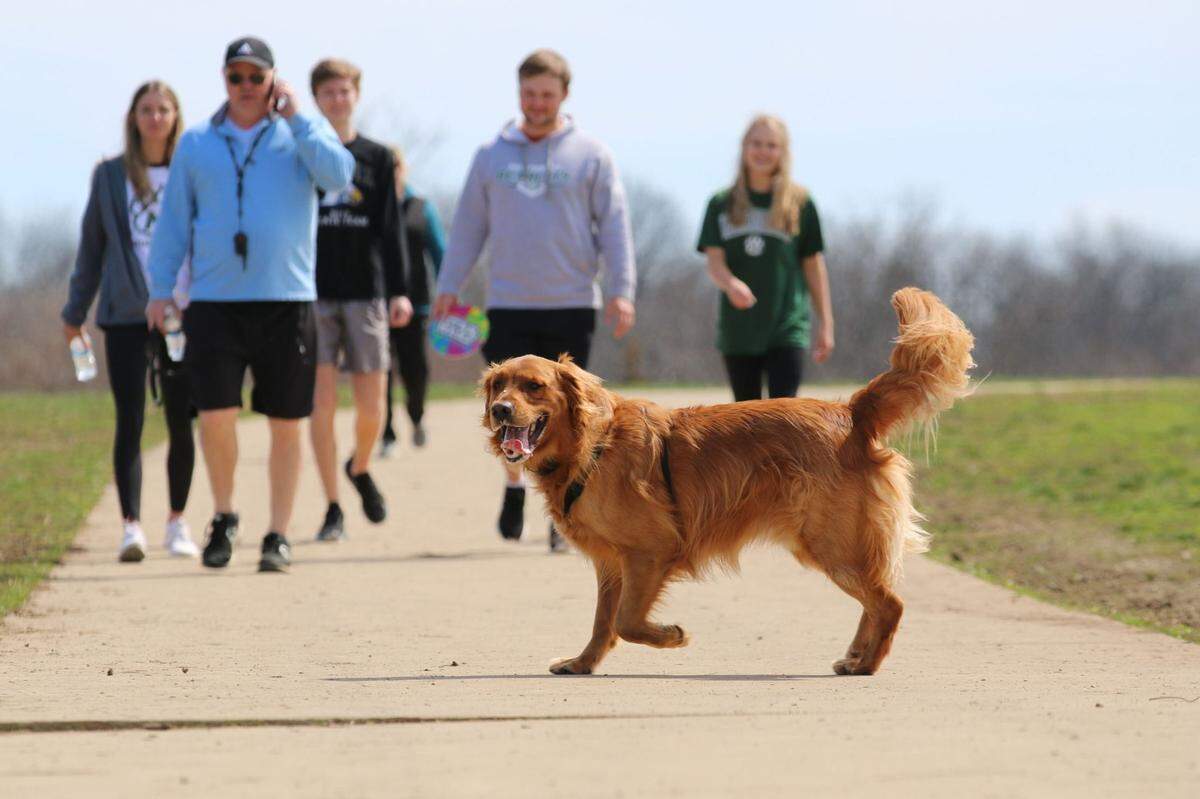 A dog roams freely at one the Johnson County Parks and Recreation Department’s off-leash dog parks. Shawnee Mission Park has a 44-acre wide off-leash dog area.