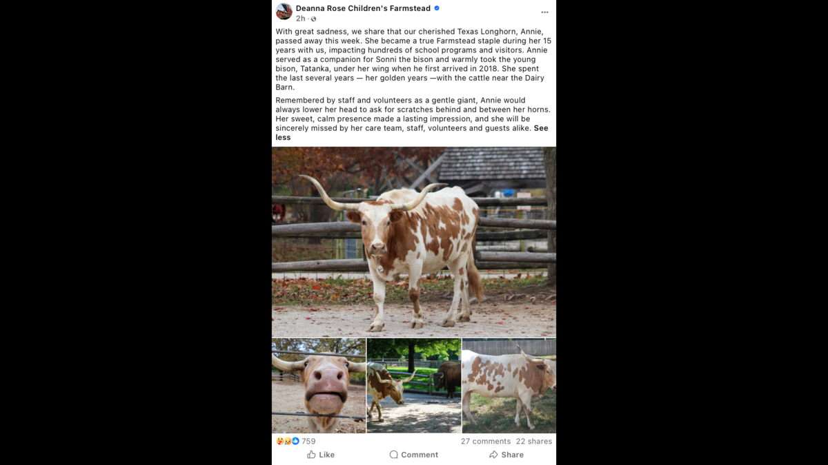 Annie, a Texas longhorn at Deanna Rose Children’s Farmstead, died the week of July 6, 2026, according to the farm’s Facebook page. She had been at the farmstead for 15 years.