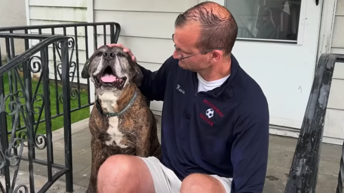 Kevin Curry took his dog, Mellow, for one final walk around his Pennsylvania neighborhood. Mellow is dying from lymphoma, according to the owner.
