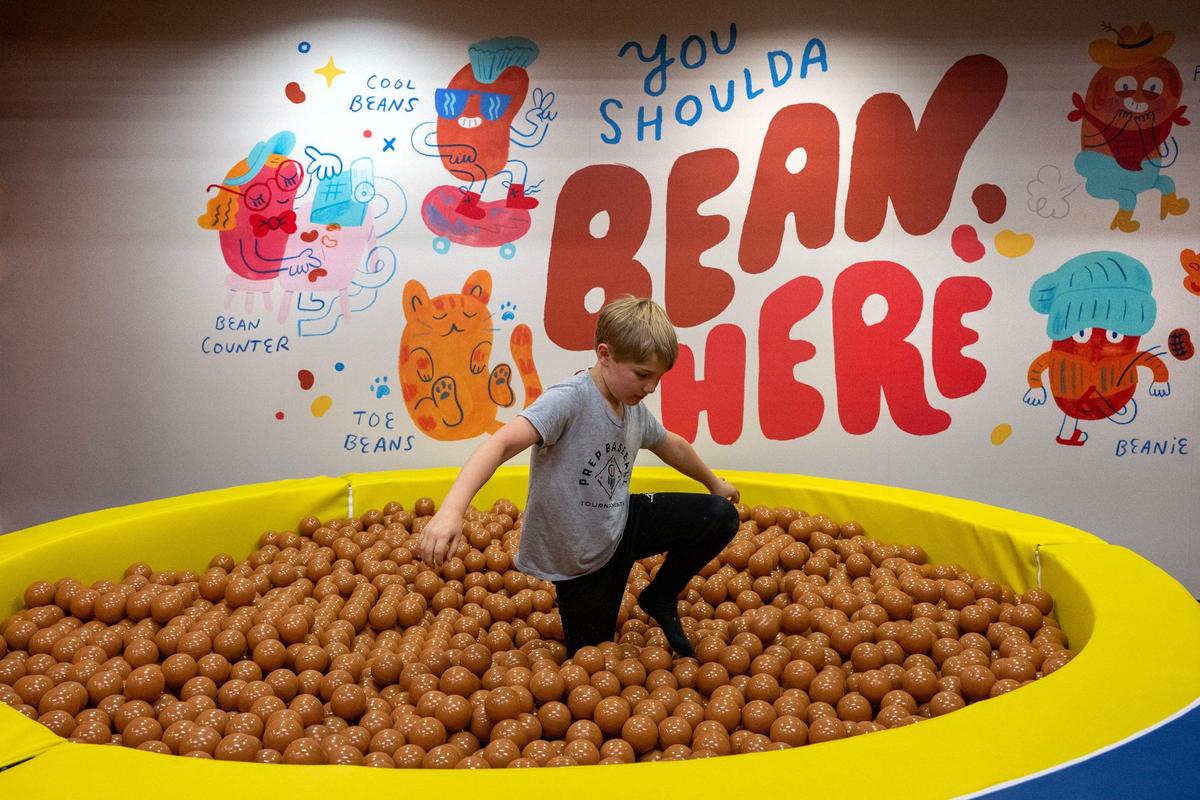Teddy Van Dieren, 8, of Kansas City, took a dip in the bean pit featuring 8,000 bean-colored balls Wednesday at the new Museum of BBQ.