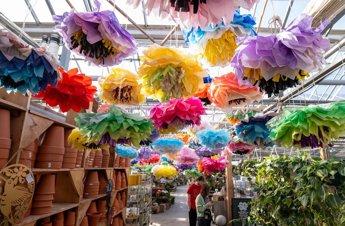 Handmade tissue flowers adorn the rafters in the Shawnee greenhouse during Family Tree Nursery’s spring open house.