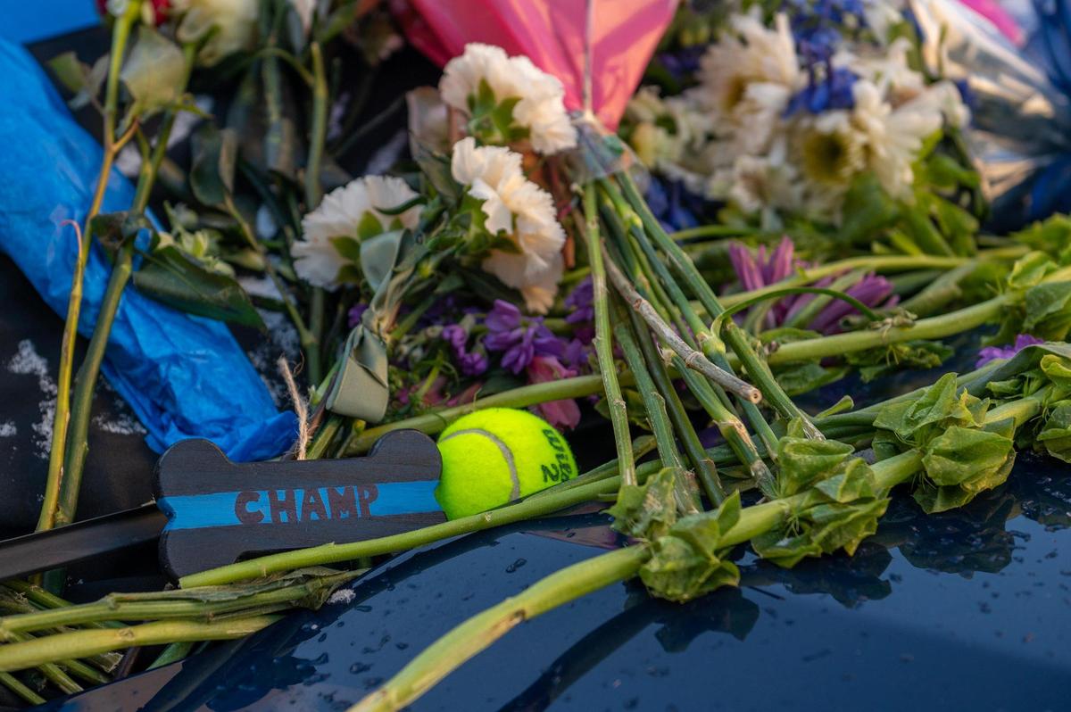 A dog tag and tennis ball are seen placed on a Kansas City Police patrol car as a memorial for KCPD Officer James Muhlbauer at police headquarters on Friday, Feb. 17, 2023. Muhlbauer and his K-9 police dog Champ were killed in a car crash Wednesday when a vehicle struck their patrol car. A nearby pedestrian was also killed in the crash.
